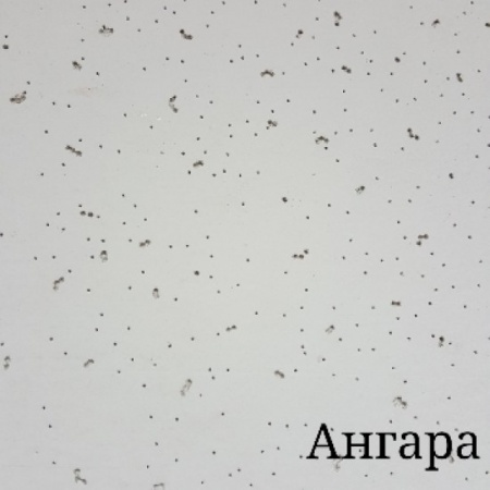 ангара